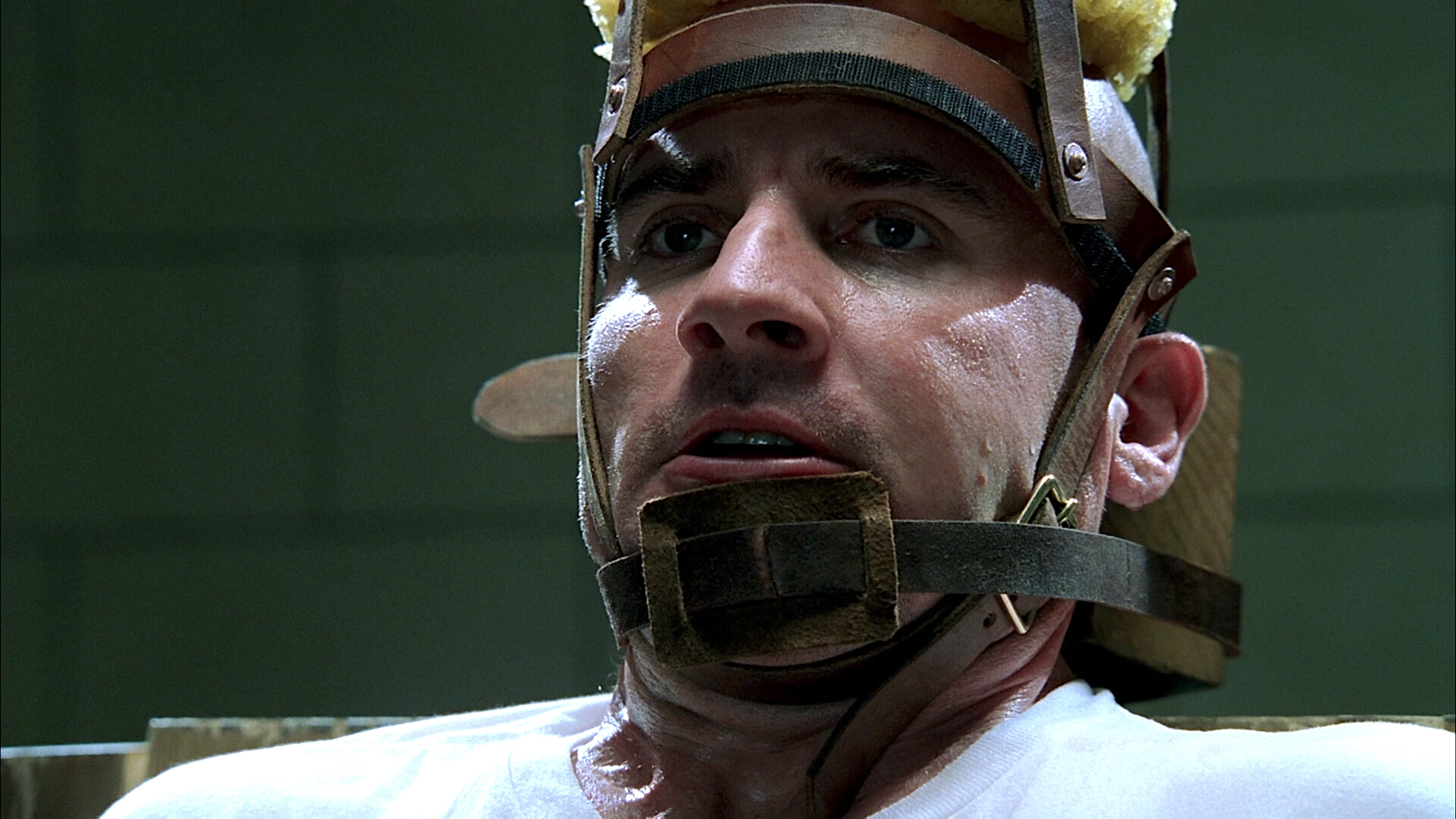 Por la piel y los dientes