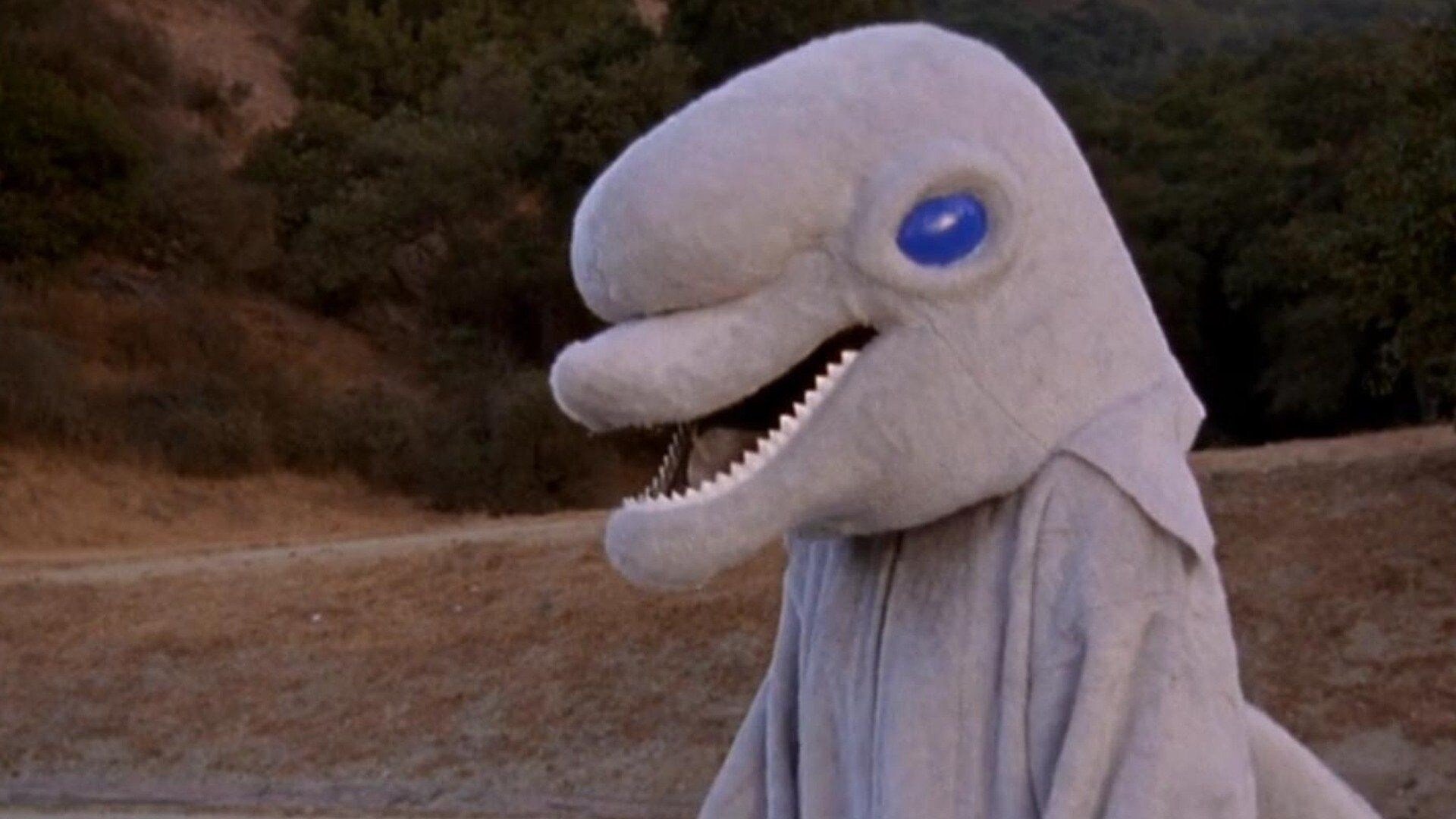 Mi día en las carreras