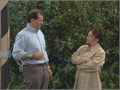 Los insectos salvadores