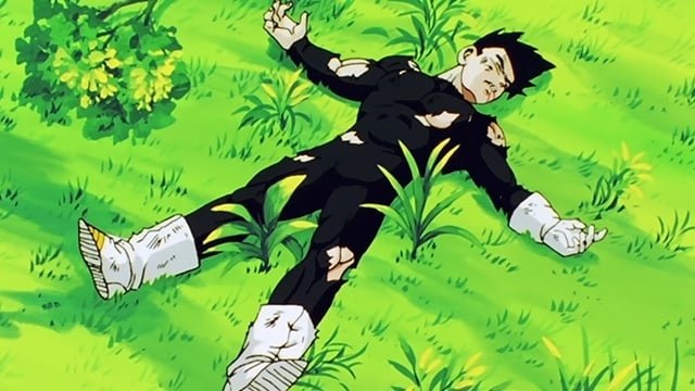 ¡Encontrado! Un rayo de esperanza ¡Despertad, Guerreros Z!