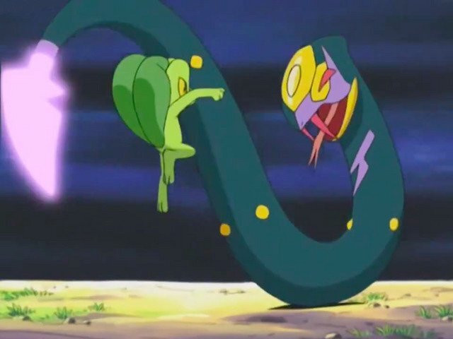 Una cola muy enrollada