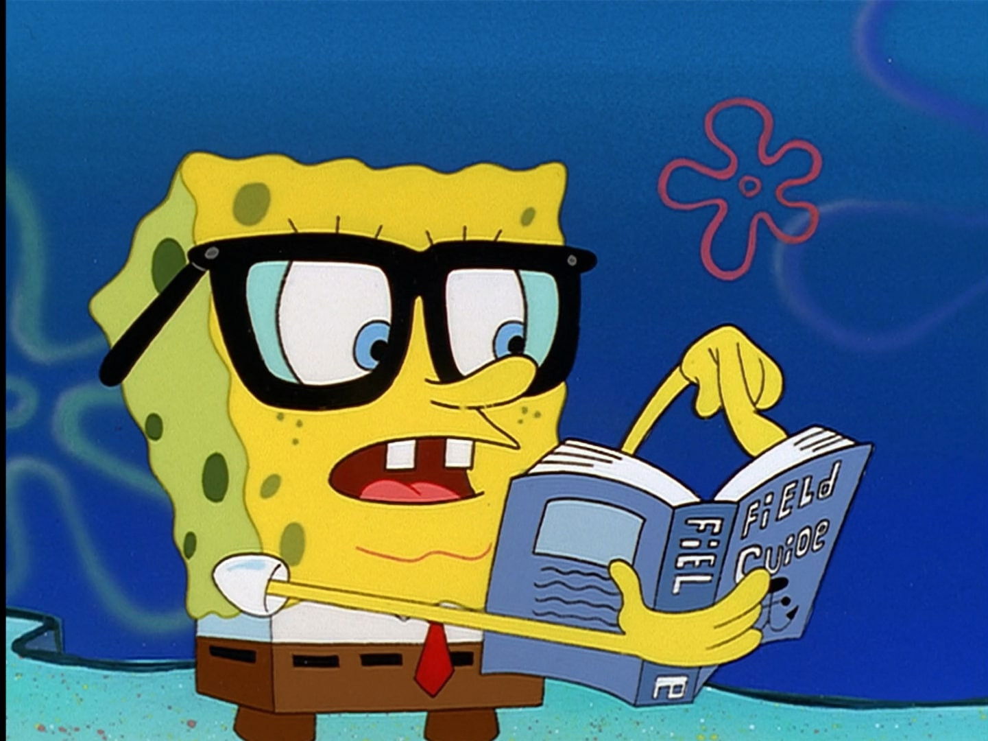 Pesca de medusas / Plankton!