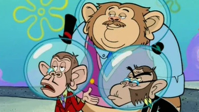 Chimpancés a la vista