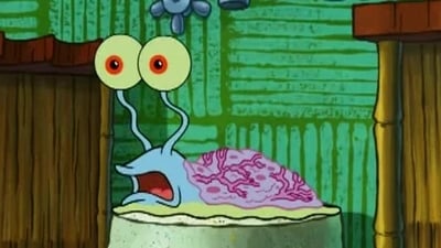 Problemas de caparazón