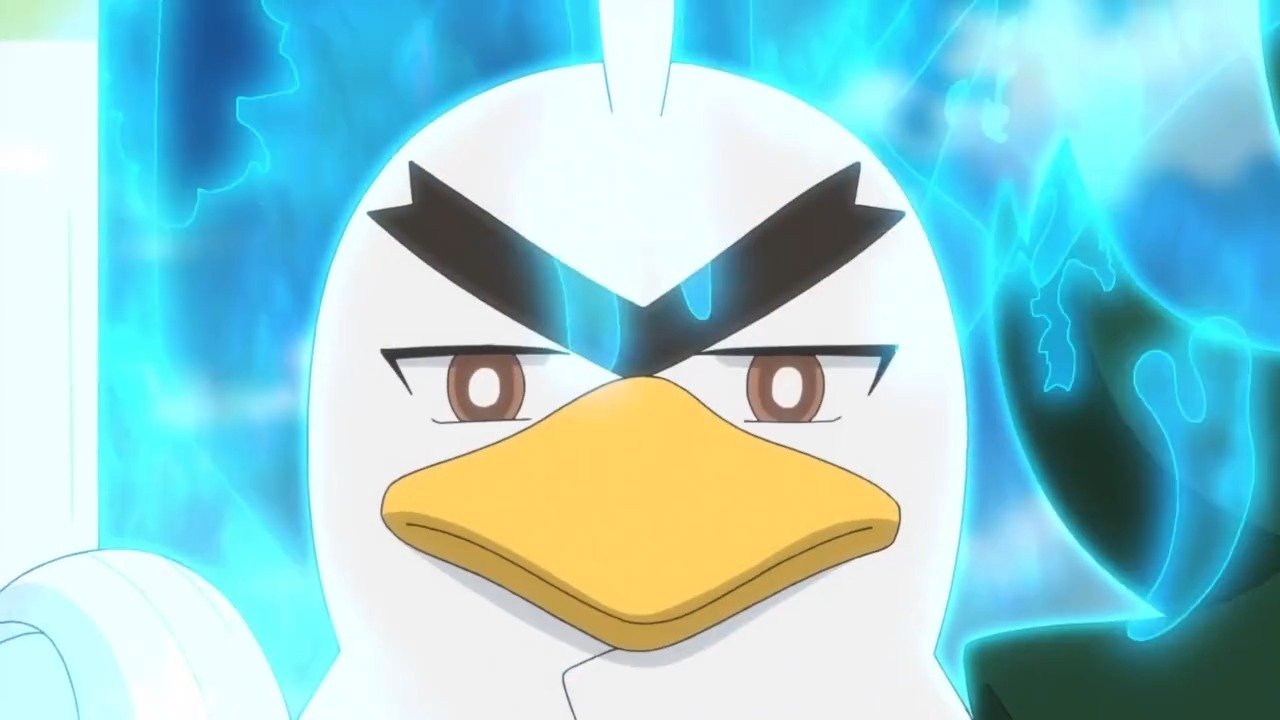 ¡Infinitas posibilidades!