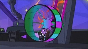 Restos del ornitorrinco