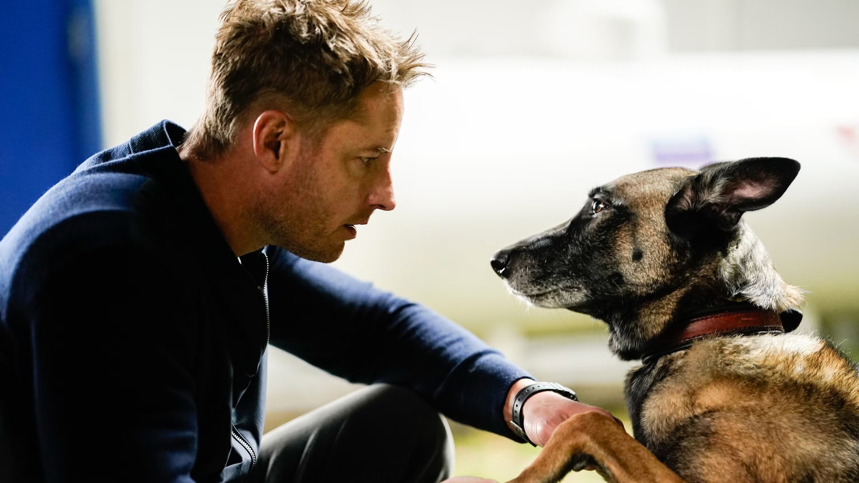 El mejor amigo del hombre